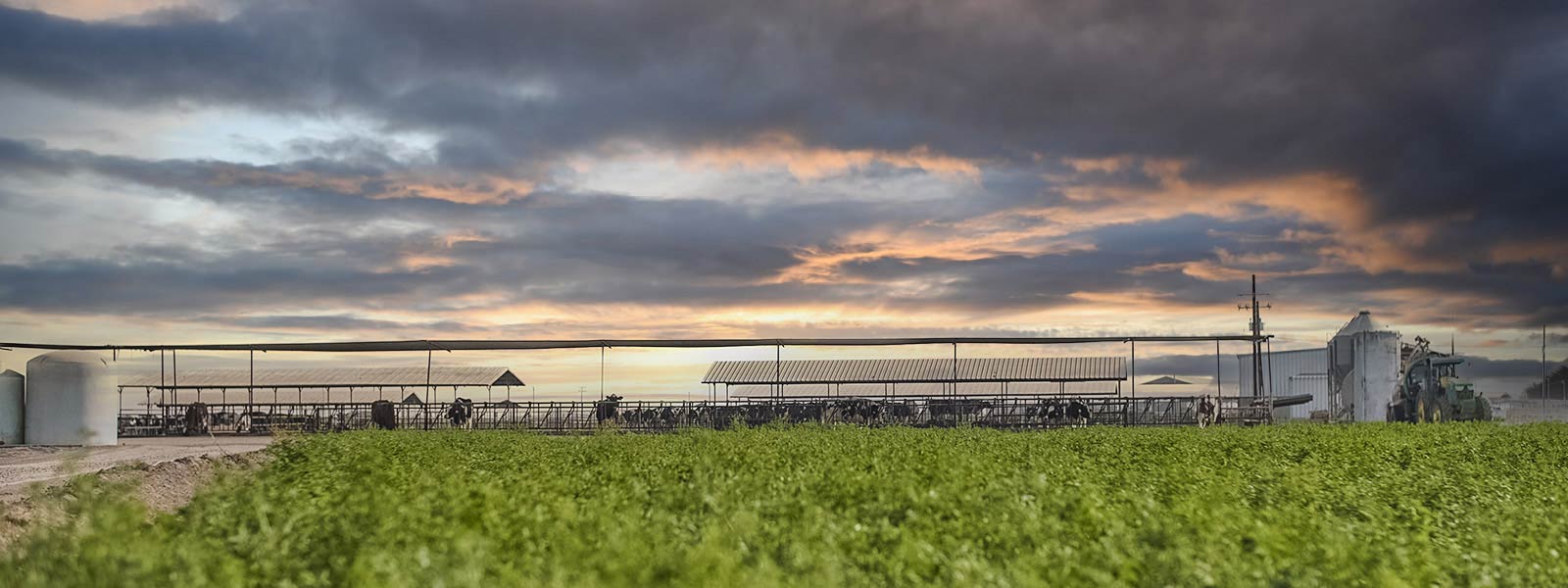Sunrise behind a dairy farm with green field in foreground